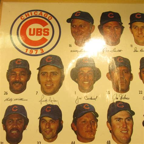 cubs roster 1973
